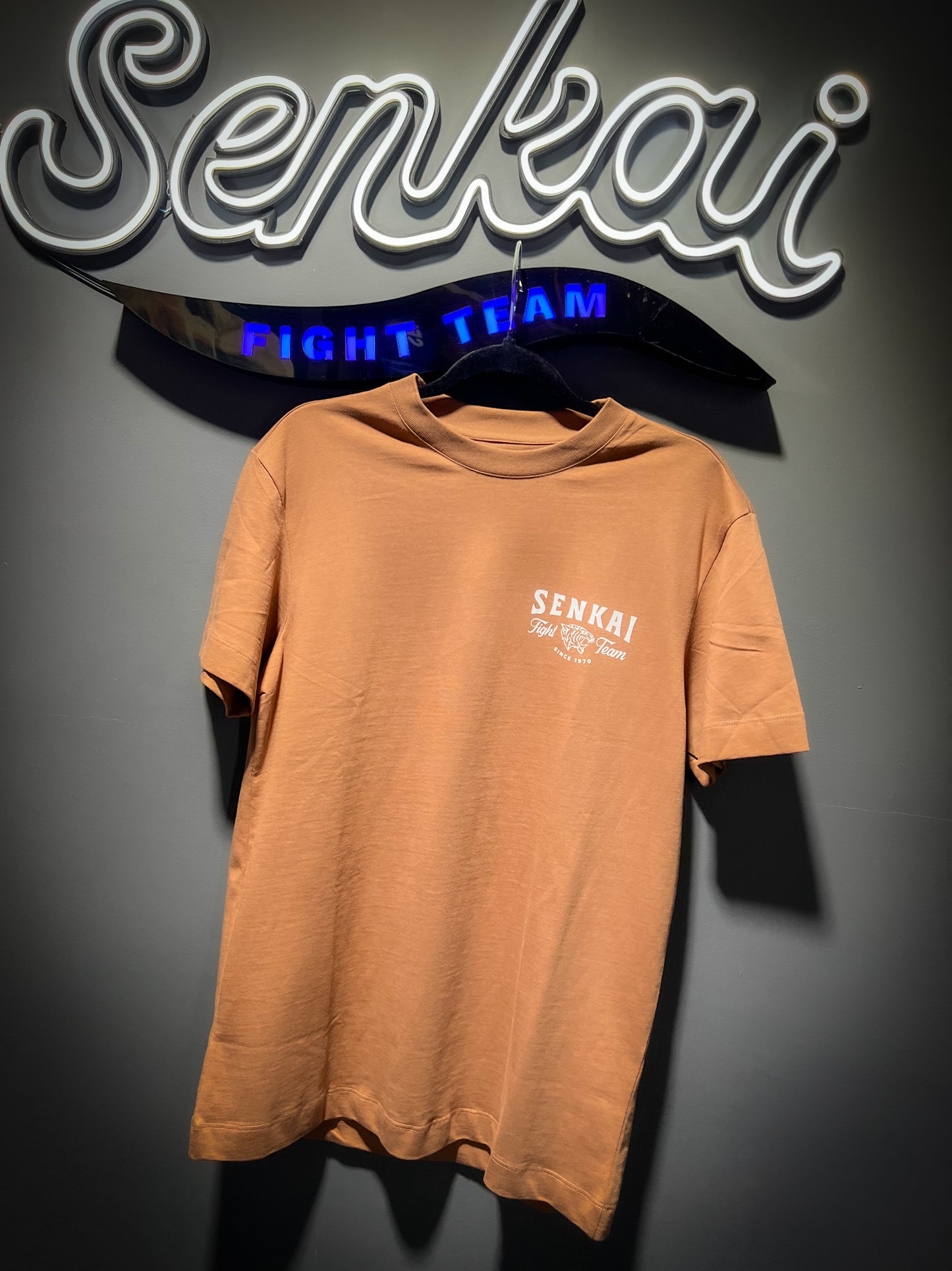 CAMISETA CAFE